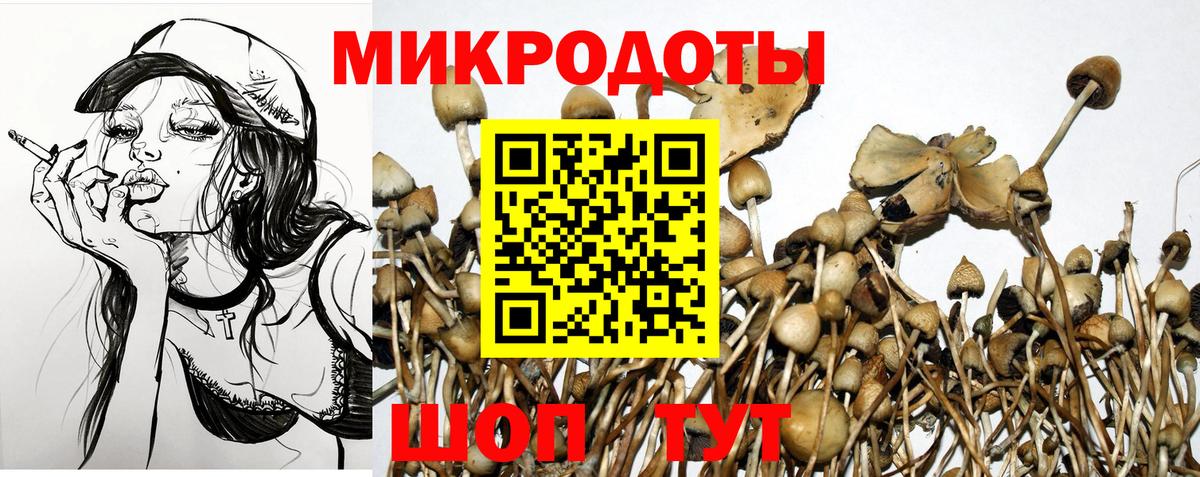 Псилоцибиновые грибы мухоморы  Вход с VPN  Курчалой 