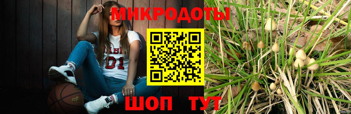 Галлюциногенные грибы мицелий Курчалой